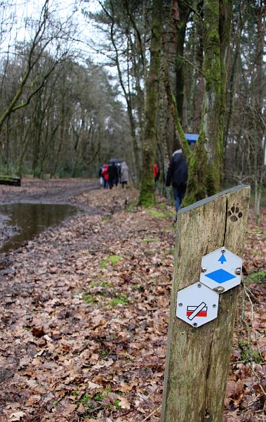 MG Winterwandeling_ (122).JPG